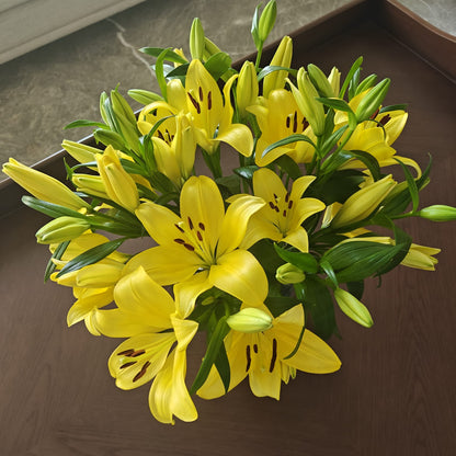 Lilies in a Jar